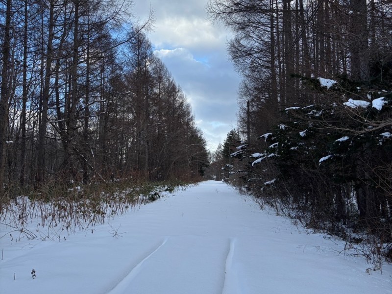 Away in Snowy&nbsp;Solitude